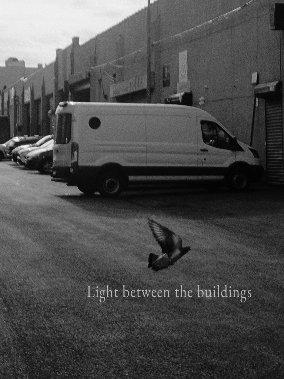 Light Between the Buildings book cover