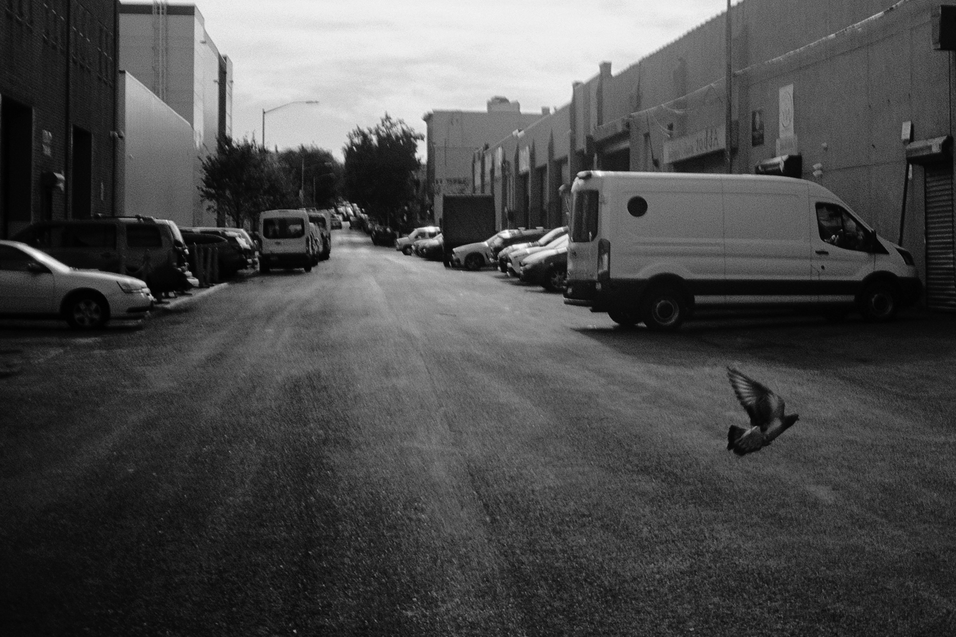 The Light Between the Buildings print 01